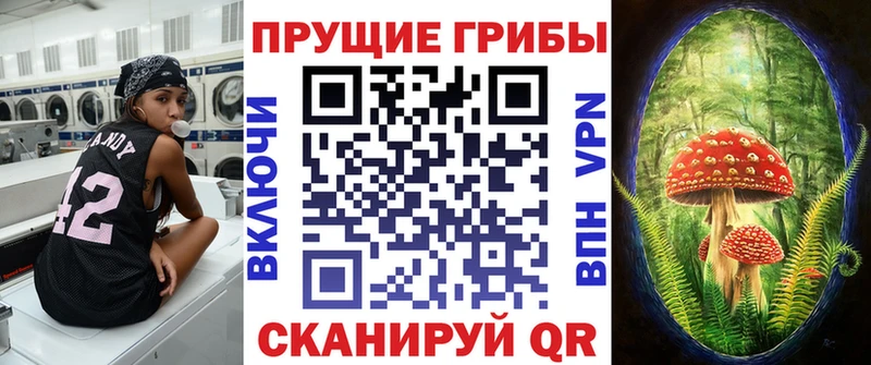 Псилоцибиновые грибы Psilocybine cubensis Азов
